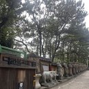 유동커피해동용궁사점 | 부산 절 사찰 명소 해동용궁사 주차장 근처 카페 유동커피