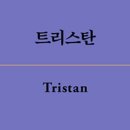 트리스탄