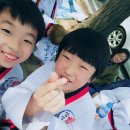 경희대석사 삼일 태권도장 이미지