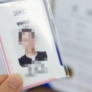 서울애견미용실 이미지