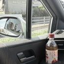 유니동물약국 | 유니링크 홈스테이 마쓰야마 2틀차 ~