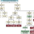 글루텐 enteropathy(장병증), 뇌병증 탐구 이미지