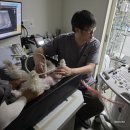 동물병원 유피 이미지