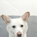 나무쉼터 동물병원 이미지