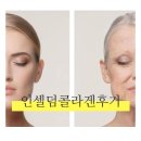 인셀덤뷰티샤워