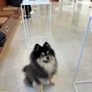 레인바우 이미지