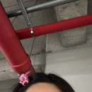 미친피자 송탄점 | 2025 (2)