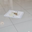 닥터각 동물병원 이미지