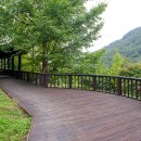 주작산자연휴양림 야영장 티스토리