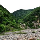 산장목장 이미지