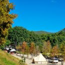 캠프원 관광농원 이미지