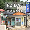 송골 | 포항 북구 송골횟집 현지인 추천 영일대 해수욕장 물회 맛집