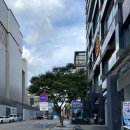 이에프 메디칼 이미지