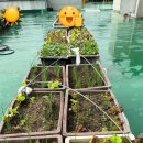 선한이웃요양병원 이미지