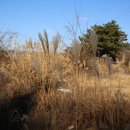 향교약수터 이미지