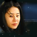 2005년 KBS, SBS, MBC 연기대상&lt;대상&gt; 후보 살펴보기(강력후보 BEST) 이미지