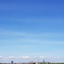 토리에트 이미지