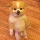 용수초교 이미지