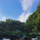 월곡테니스장 | [테니스장 후기] 월곡 테니스장 예약, 주차
