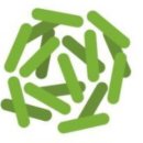 냥이네그릭요거트 이미지