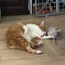 아틴해우 이미지