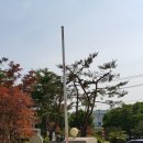 (주)코미코 이미지