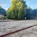 검배로136번길 이미지