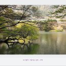 그림처럼 아름다운 완연한 봄 풍경에 푹 빠져버렸던 곳 - 진해 내수면 연구소 이미지