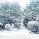 부산여자고등학교 이미지