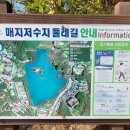 미니스톱원주연대원룸점 | 원주 단풍 명소 연세대 은행나무 호수길 (feat.주차팁)