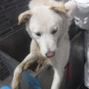 중산간동로 이미지