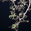 빼뽀펜션 이미지