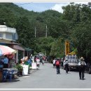 방축천7 도림2교 | 전남 곡성 동악산(動樂山)(북봉, 735m)(2008.7.27)