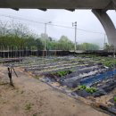 복기농장 이미지