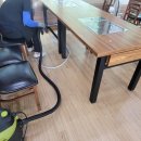 숲속장어 이미지