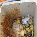 분리수거철저 +음식물수거통+재활용봉투 이미지