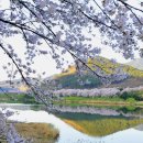 예향축산 | 순창 여행 (동반 불가, 섬진강, 펫티켓)