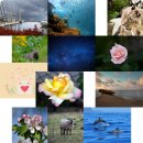 목도마을회관 이미지