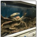 봉암동295 이미지