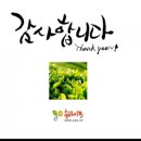 슈바이쯔 이미지