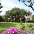 비자림힐링펜션 이미지