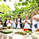 보라키친 이미지