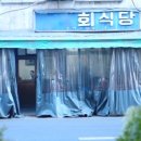 영덕식당