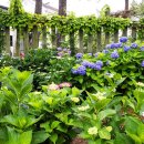 행정사법인 청효 이미지