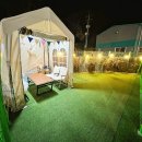 멍선생 애견카페 이미지