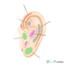 챙이날골 이미지