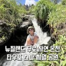 치킨발전소 | 뉴질랜드 무료 온천, 자연 노천탕 타우포 스파써멀공원 Otumuheke Stream