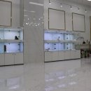 NOBLESSE.PET 네이버블로그