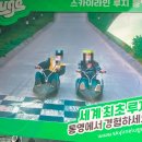 통영 거제 추천 가볼만한곳 루지 바람의 언덕포함 4곳