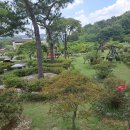 수원정육연탄구이셀프식당 이미지